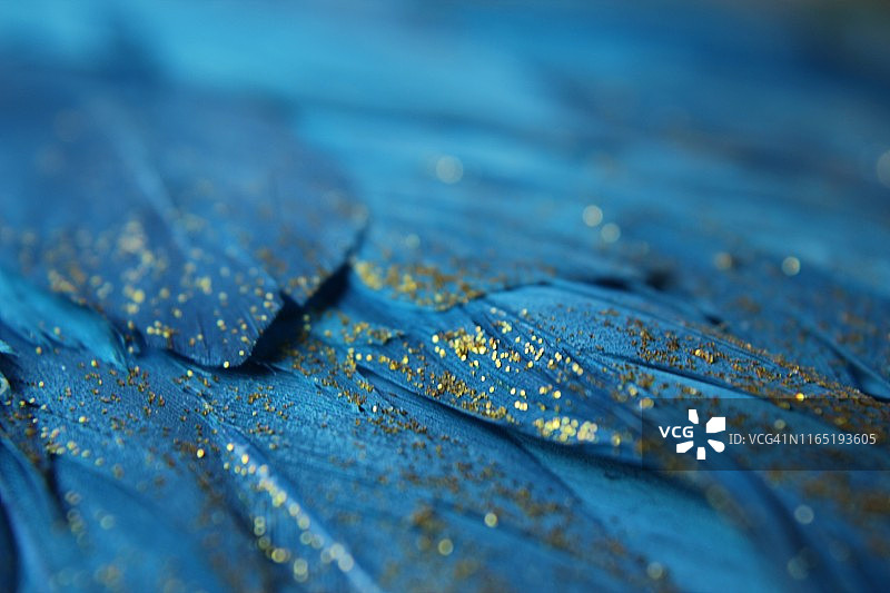 蓝色羽毛与金色闪粉图片素材