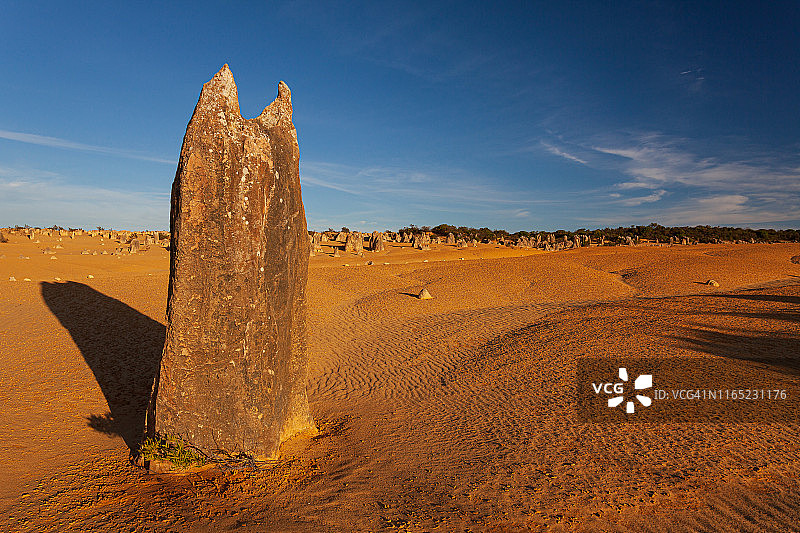 南奔国家公园尖峰石阵的石灰岩地貌，西澳大利亚图片素材