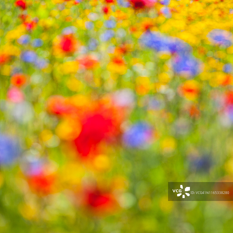 Instagram风格的自然图案图片素材