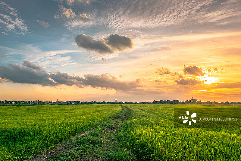 泰国日落时分稻田的田园风光图片素材