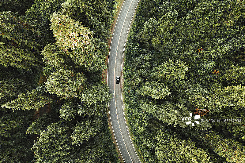 北美森林中的蜿蜒道路图片素材
