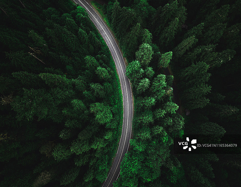 北美森林中的蜿蜒道路图片素材