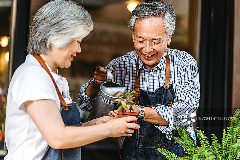 浇灌植物图片素材