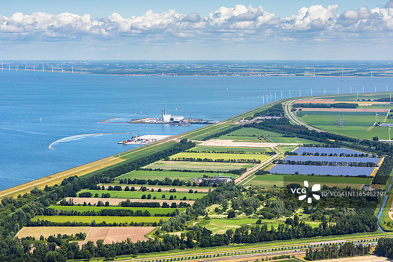 莱利斯塔德Ijsselmeerdijk沿岸的Maxima植物图片素材