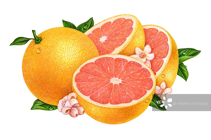 粉色葡萄柚与花朵图片素材