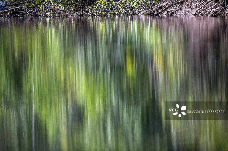 巴西亚马逊雨林在河流中的倒影图片素材