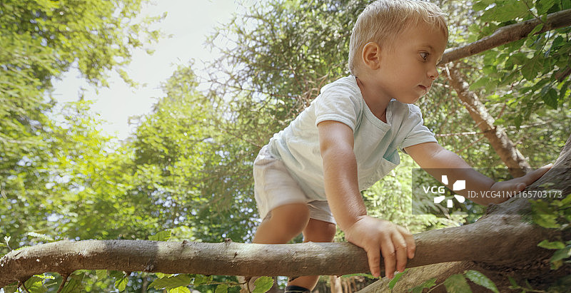 男孩攀爬倒下的树木图片素材