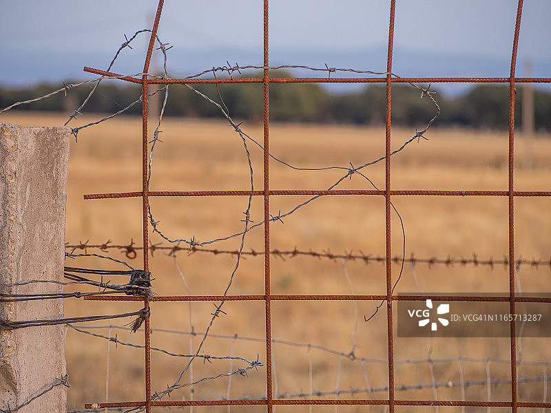 萨拉曼卡牧场的带刺铁丝网围栏柱图片素材