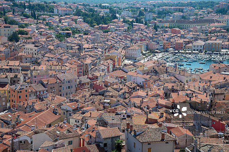 罗维尼海港和天际线图片素材