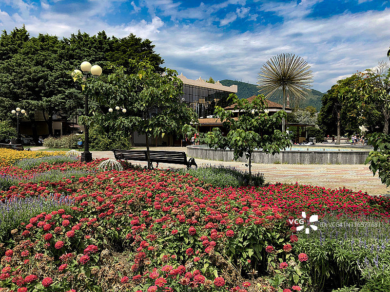 索契拉扎列夫斯科耶美丽的棕榈树小巷图片素材