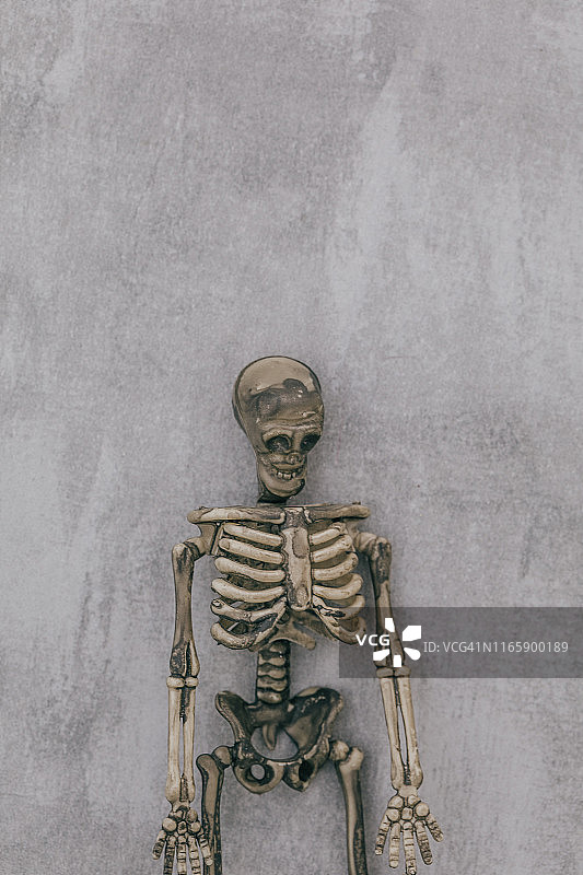 人类骨骼微缩模型/万圣节图片素材
