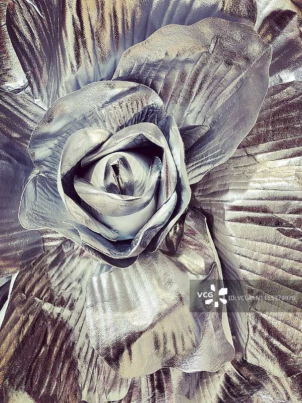 银色玫瑰图片素材