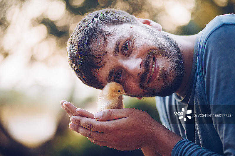 手中的小鸡图片素材