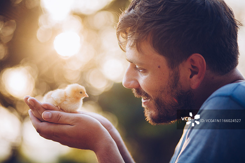 手中的小鸡图片素材