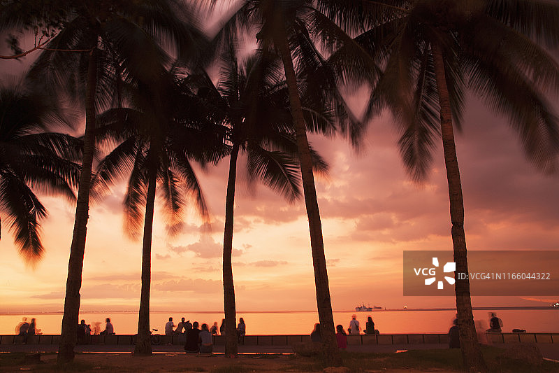 人们在椰子树下观看日落图片素材