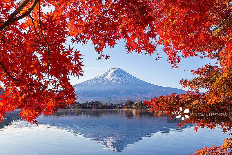 山梨县河口湖的秋季富士山和彩色枫叶图片素材