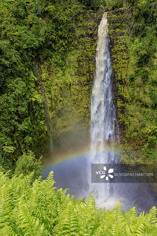 阿卡卡瀑布，大岛，夏威夷，美国图片素材