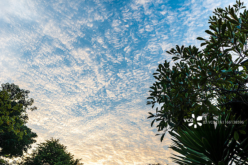 蓝天白云绿树下的日出图片素材