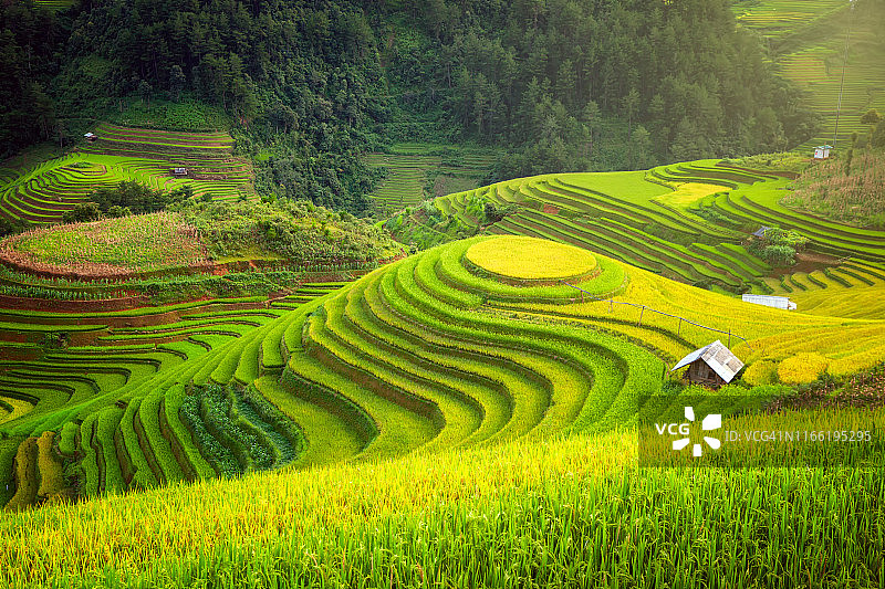 越南木江界的壮丽梯田图片素材