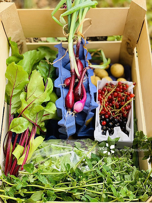 环保颜料盒图片素材