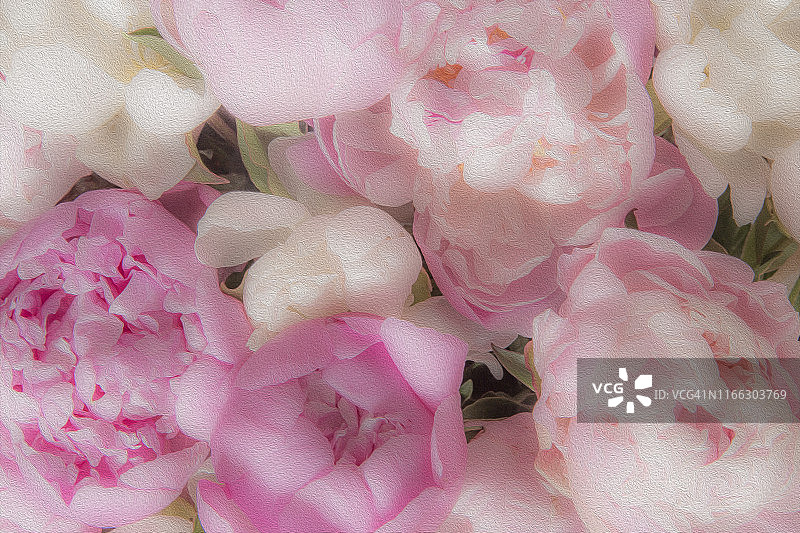 浪漫粉色牡丹玫瑰花束的艺术油画图片素材