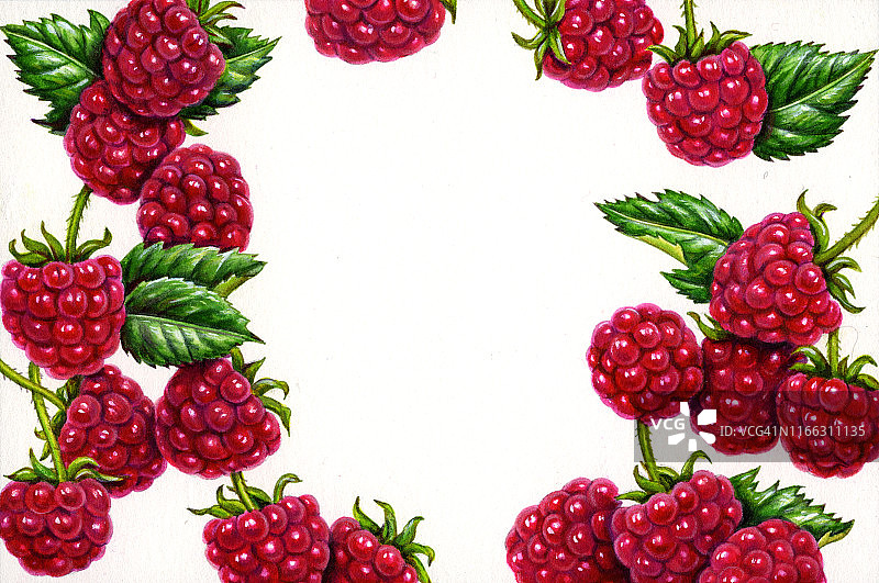 覆盆子边框图片素材