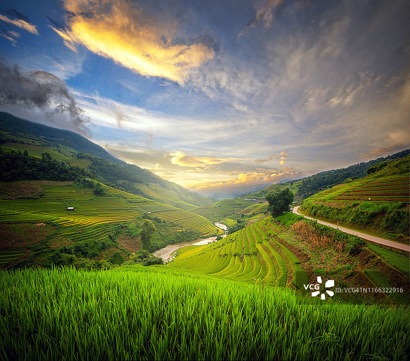 越南木江界的壮丽梯田图片素材