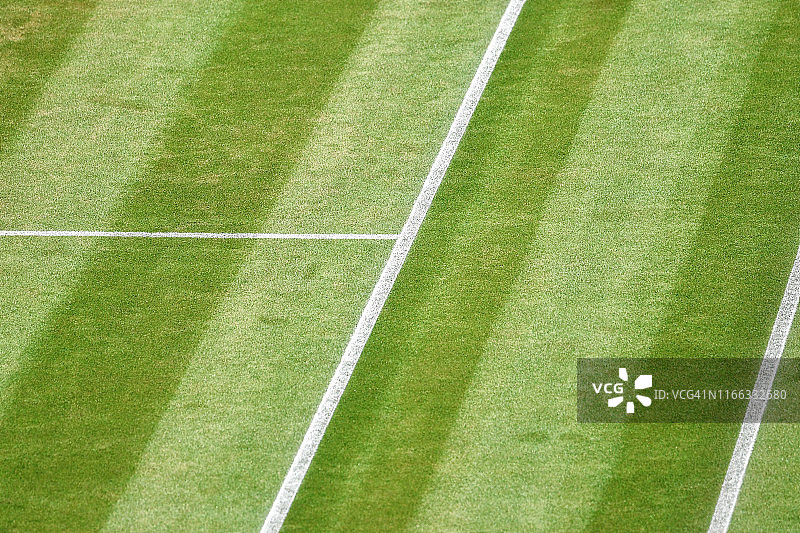 草地网球场特写图片素材