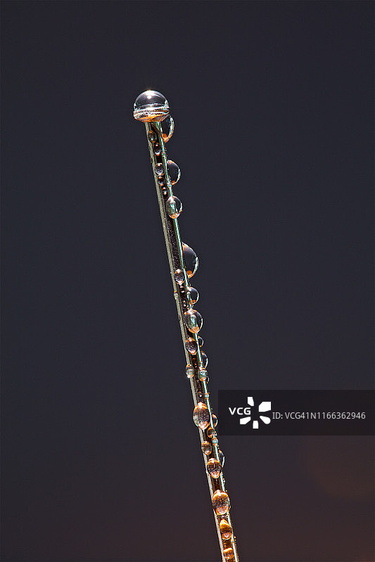 大头针上的水滴图片素材