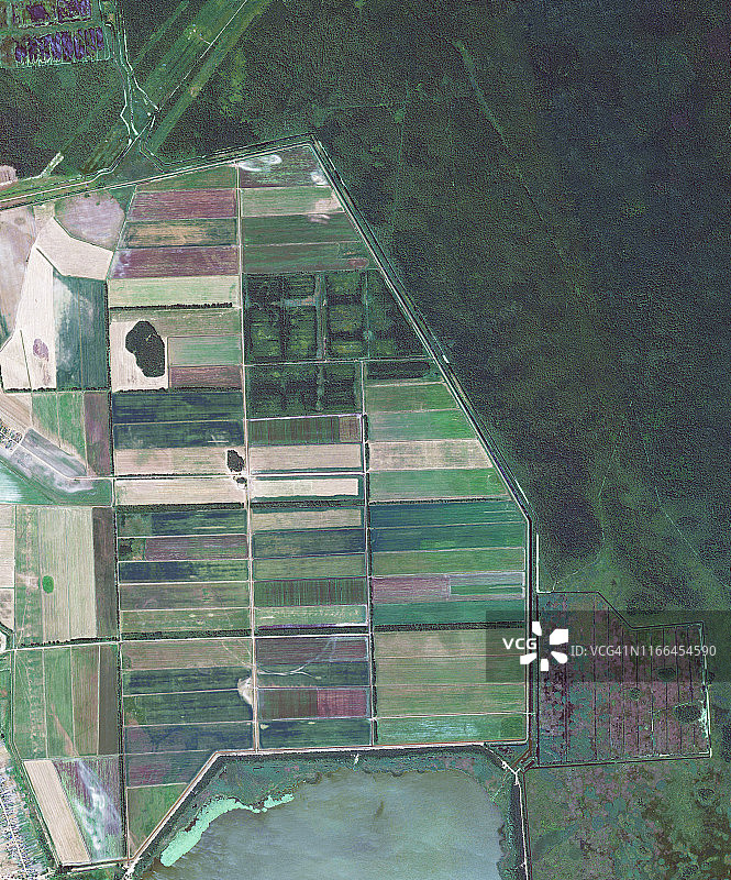 卫星图像，布列斯特，白俄罗斯图片素材