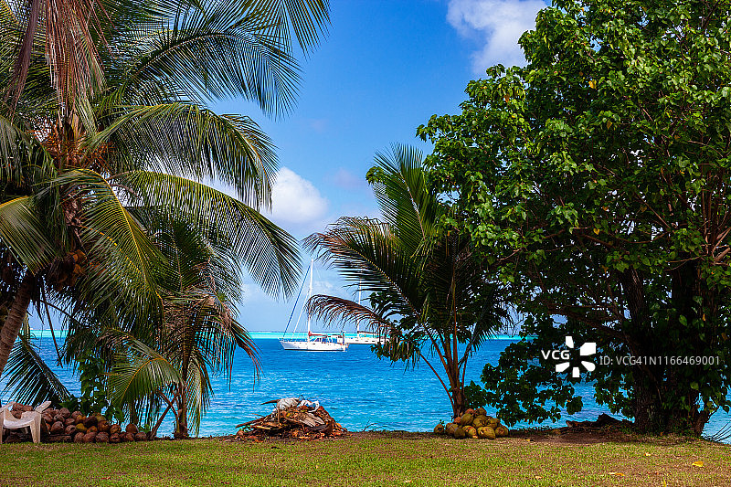 法属波利尼西亚，华欣岛南部透过树木看到的阿韦亚湾图片素材