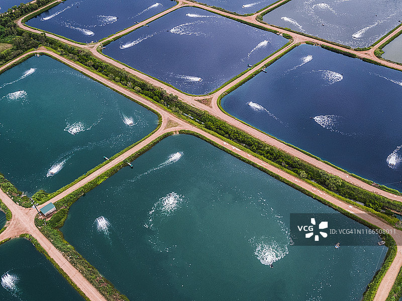 澳大利亚昆士兰州水产养殖池塘航拍视角图片素材