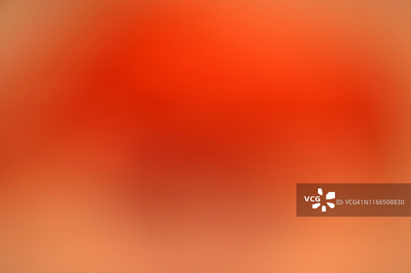 橙皮特写镜头中的鲜艳橙色图片素材