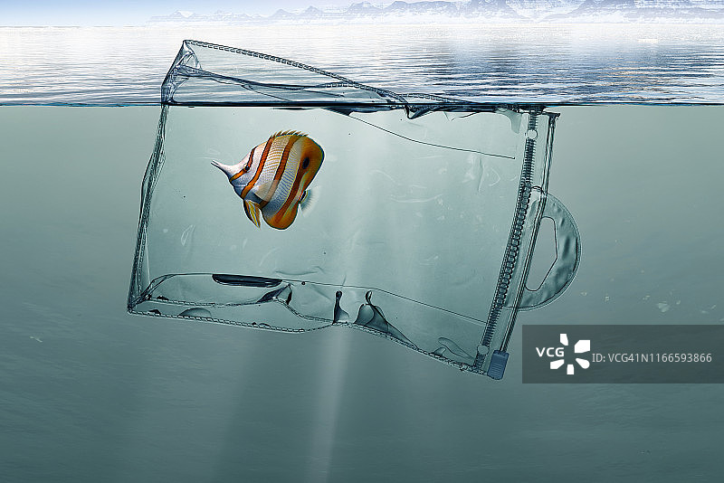 装有鱼的塑料袋，海洋漂浮污染物图片素材