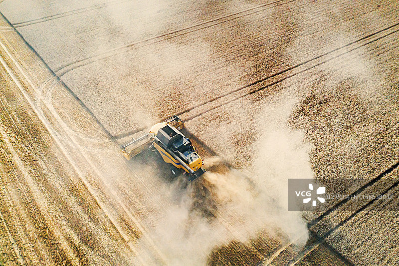 收割机在田野收割小麦航拍图片素材