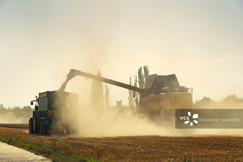 收割机在田野上收割小麦图片素材