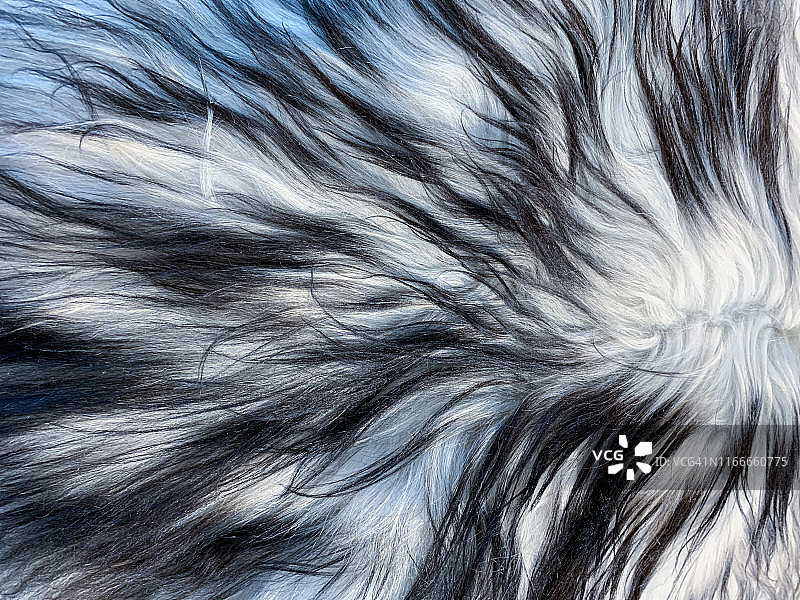 山羊毛皮的完整画面图片素材