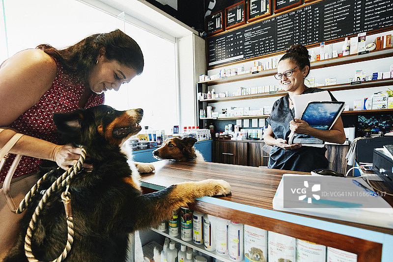 微笑的宠物店老板迎接宠物主人和狗图片素材