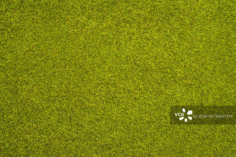人造浓密绿草纹理图片素材