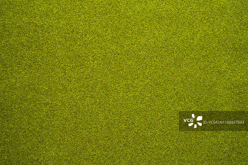 人造浓密绿草纹理图片素材