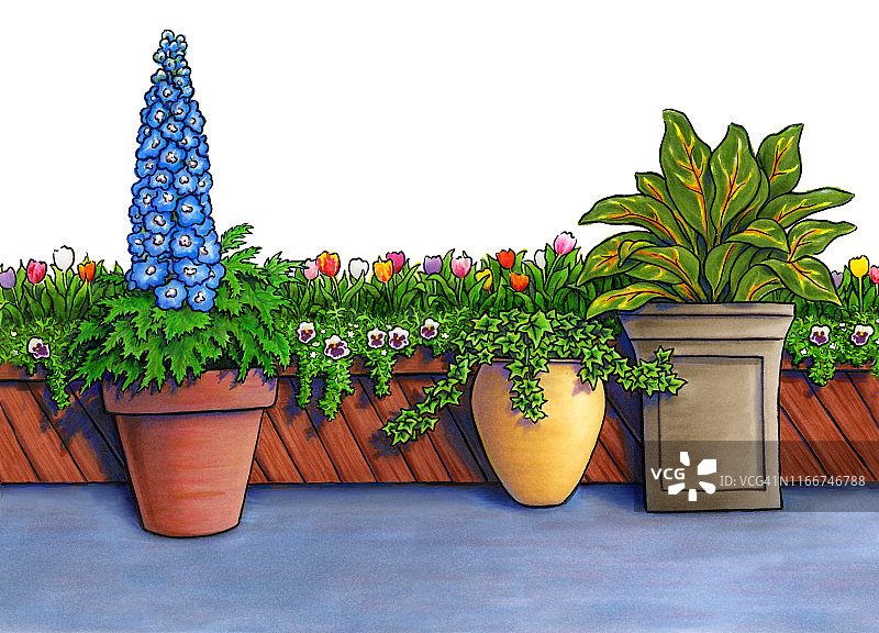 带常春藤的花盆图片素材