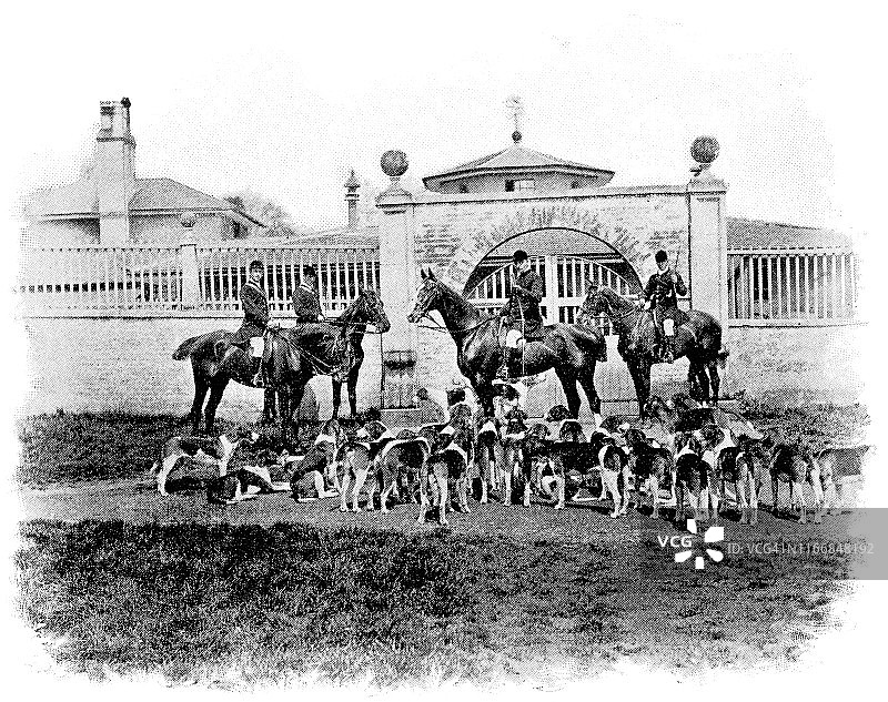 英格兰莱斯特郡贝尔沃堡的猎犬群（19世纪）图片素材