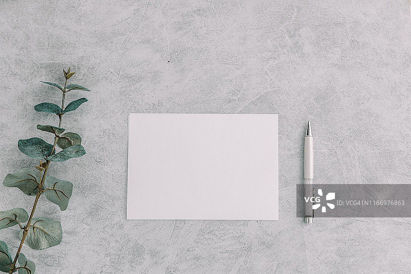 空白纸张与桉树枝图片素材