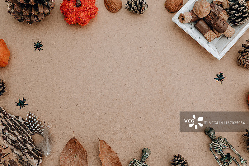 橙色万圣节骷髅蜘蛛框架图片素材