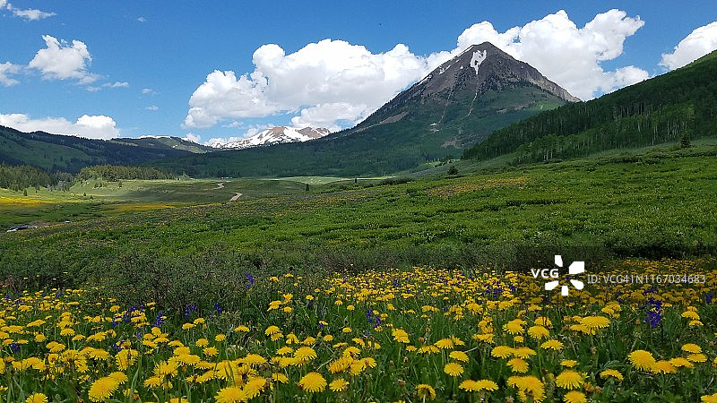 夏季盛开野花的哥特式山脉图片素材