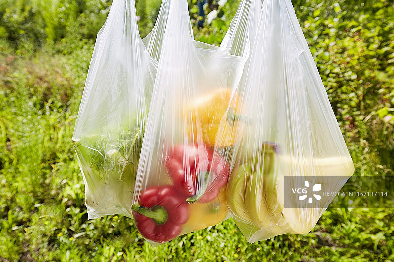 花园中装有红黄甜椒、香蕉和茴香的透明塑料袋，背景是绿色植物图片素材
