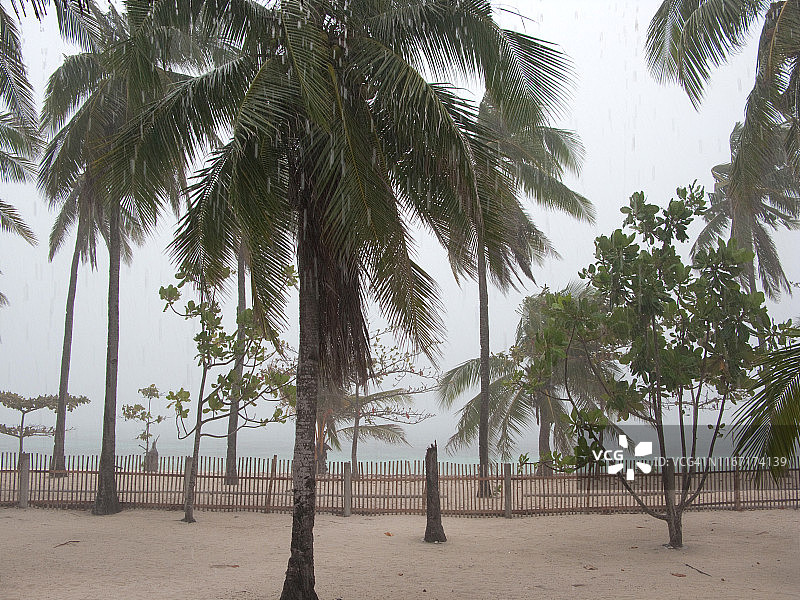 菲律宾马拉帕斯卡海滩雨中的椰子树图片素材