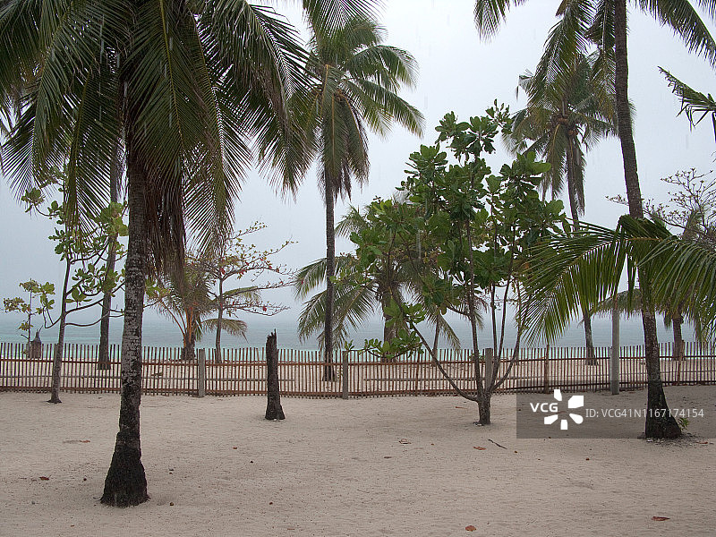 菲律宾马拉帕斯卡海滩的雨中热带树木图片素材