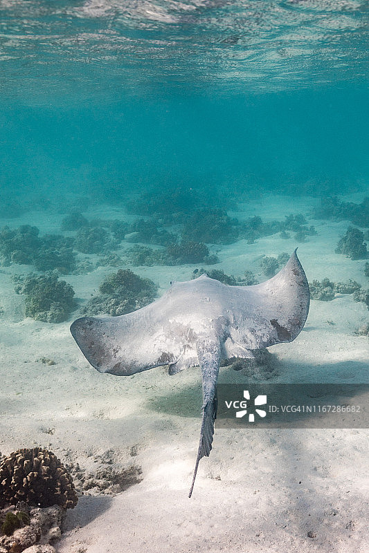 大堡礁的光芒图片素材