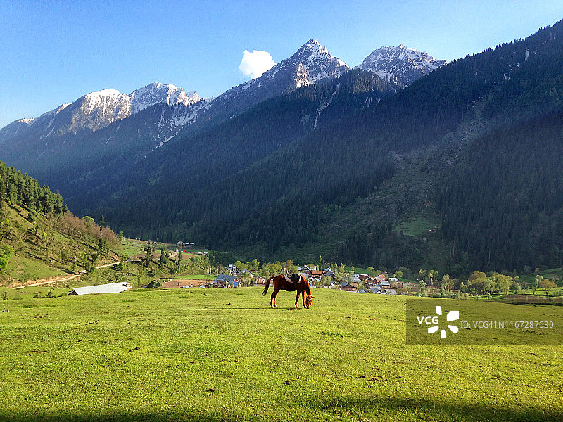 拜萨兰山谷图片素材